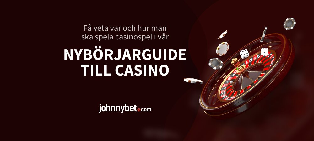 Nybörjarguide till casino