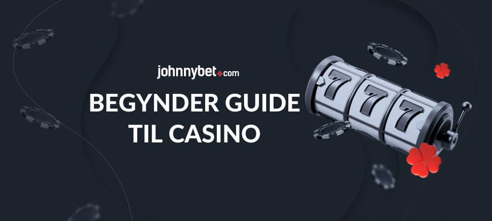 Begynder Guide til Casino