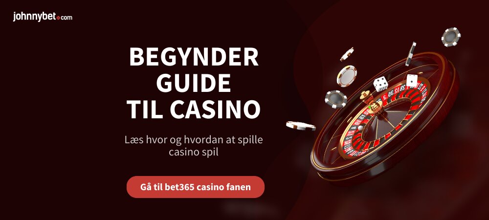 Begynder Guide til Casino