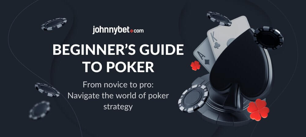 Beginner's Guide to Poker