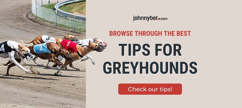 Free Greyhounds Betting Tips