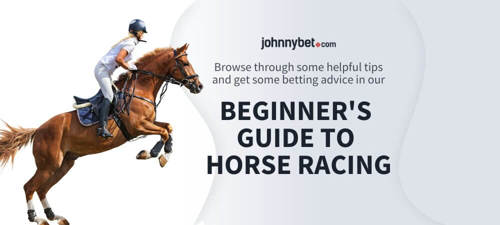 Beginner's Guide to Betting on Horse Racing