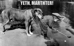 Dog and child playing golf memes