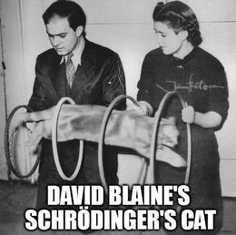 David blaine and cat memes