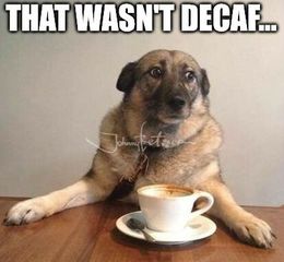 That wasnt decaf memes