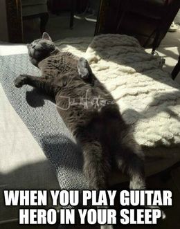 Guitar hero cat memes