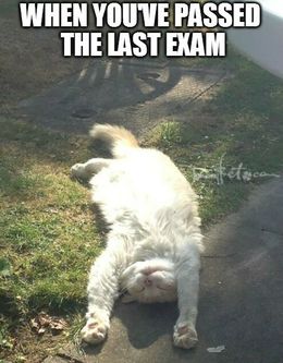 The last exam memes