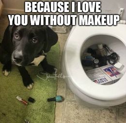 Without makeup funny memes