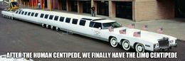The limo centipede memes