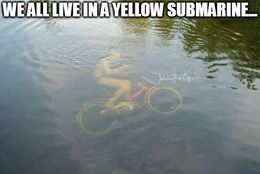 Yellow submarine memes