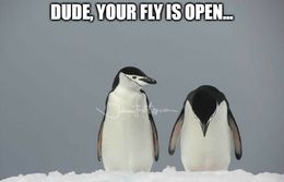 Your fly is open memes
