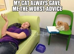 The worst advice memes