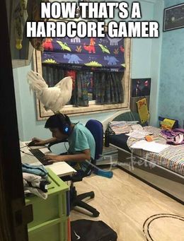 Hardcore gamer memes