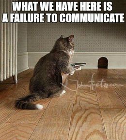 Communicate funny memes