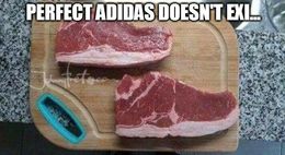 Adidas funny memes