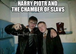 Harry chamber memes