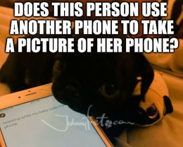 Take a picture memes