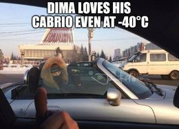 Loves his cabrio memes