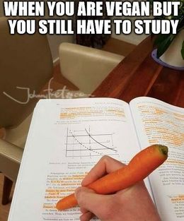 You have to study memes