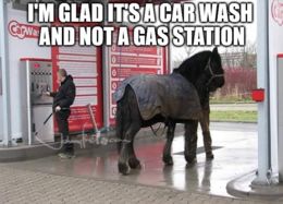 Gas station memes