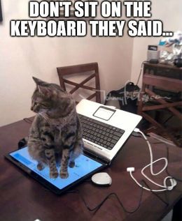 Keyboard funny memes