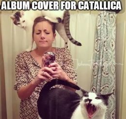 Album cover memes