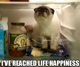 Life happiness memes