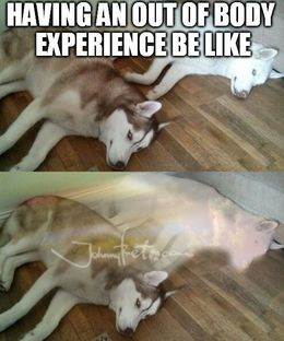 Out of body experience memes