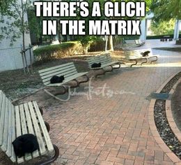 Glitch in the matrix memes