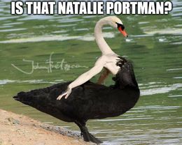 Natalie portman memes