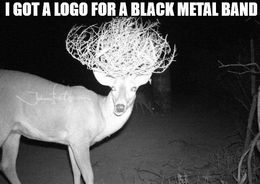 Black metal band memes
