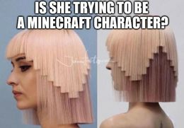 Mincraft character memes