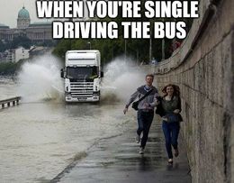 Driving the bus memes