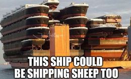 Shipping funny memes