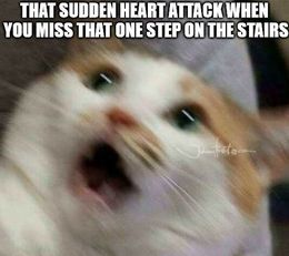 Heart attack memes