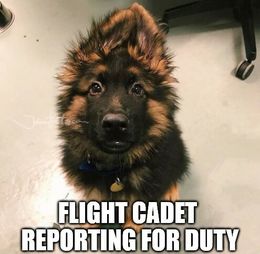 Flight cadet memes