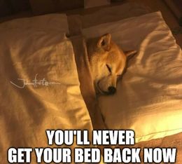 Your bed memes