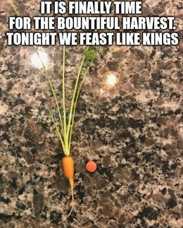 Feast like kings memes