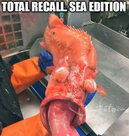 Total recall memes