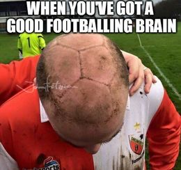 Brain funny memes