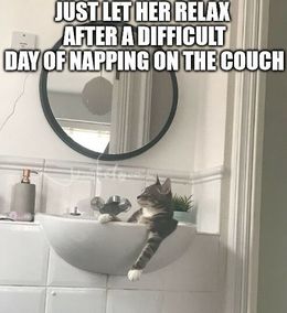 Difficult day memes