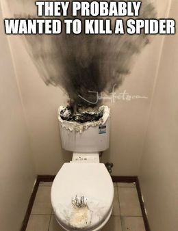 Kill a spider memes