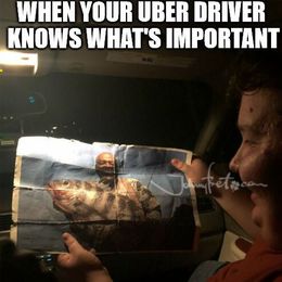 Your uber driver memes