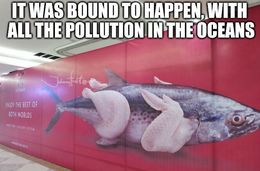 Pollution in the oceans memes