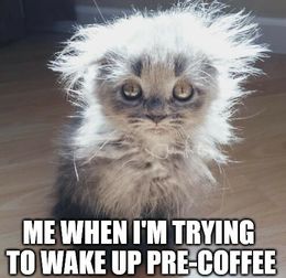 Trying to wake up memes