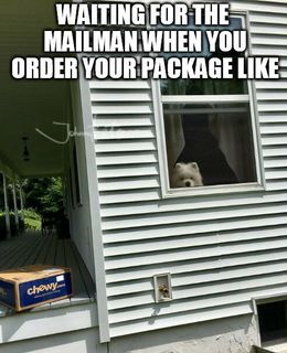 Your package memes