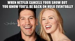Netflix cancels memes