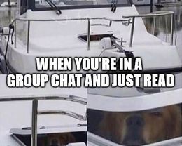 Group chat memes