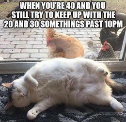 Try to keep up memes