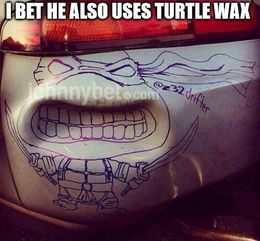 Turtle wax memes